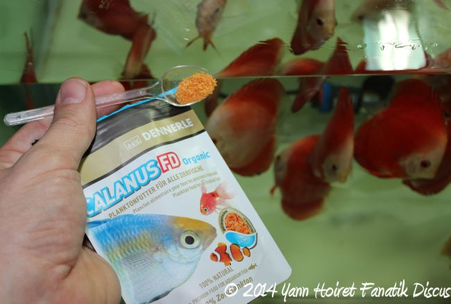 Calanus FD Organic Dennerle: Une nourriture pour les alevins de discus? Calanus FD Organic Dennerle for Discus fry