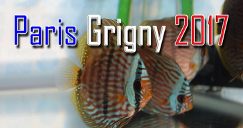 Le Paris Grigny Discus Show 2017 Image a la une Paris Grigny 2017