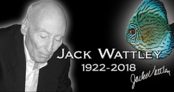 Jack Wattley le pape du discus nous quitte In memory of Jack Wattley