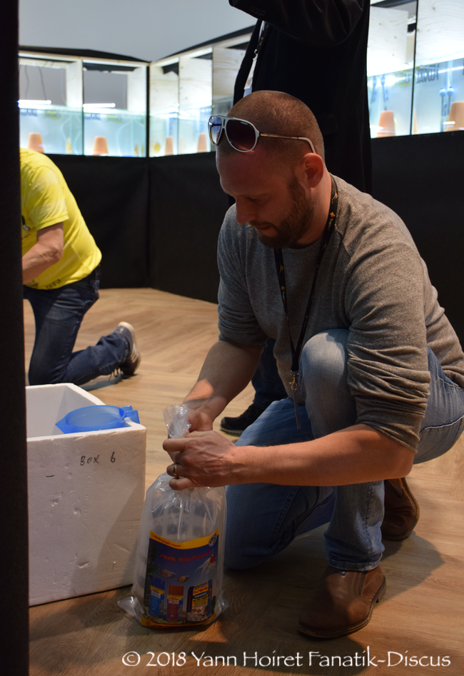 Packaging for the transport of discus Emballage des discus pour le transport