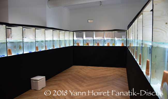 Installation du Nordic Discus Show 2018 Installation du Nordic Discus Show 2018