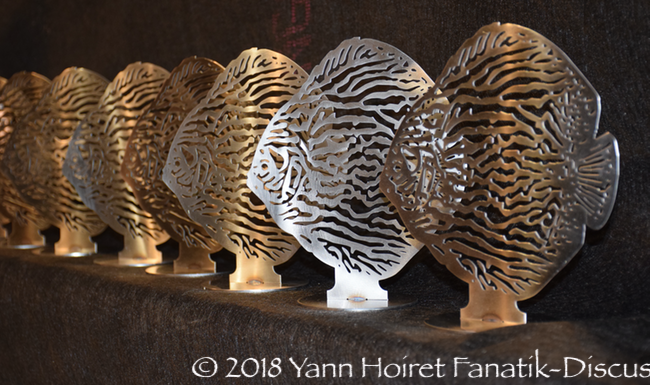 Nordic Discus Show 2018 trophies Nordic Discus Show 2018 trophées