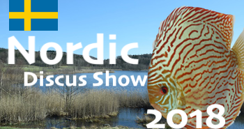 Plus de 20 nationalités au Nordic Discus Show! Nordiska Diskus Sällskapet image a la une Nordic Discus Show 2018