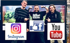 Les #Discus sur Instagram, YouTube ou Facebook Image a la une Fanatik-Discus instagram youtube facebook
