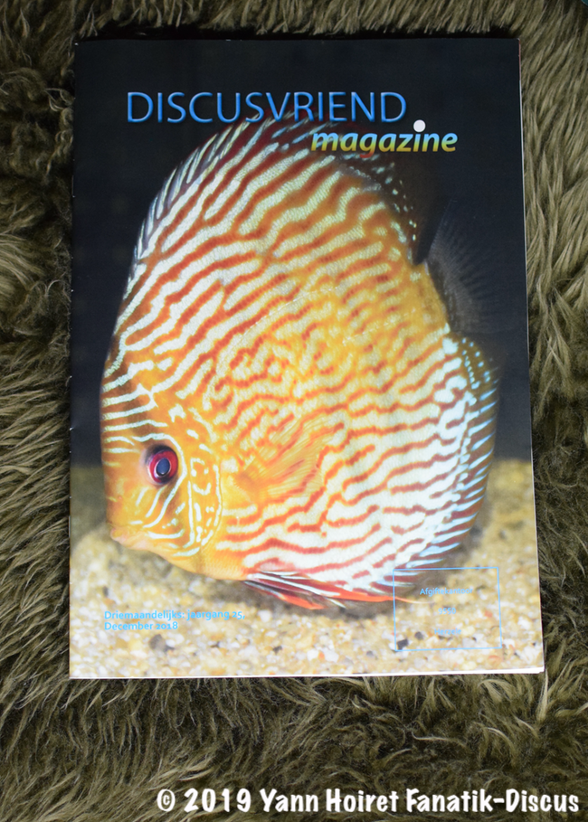 Discusvriend Magazine December 2018