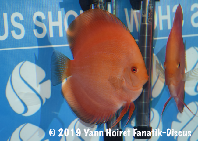 3rd Open Uni FDS 2018